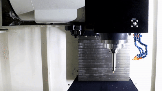 4.gif 4.gif